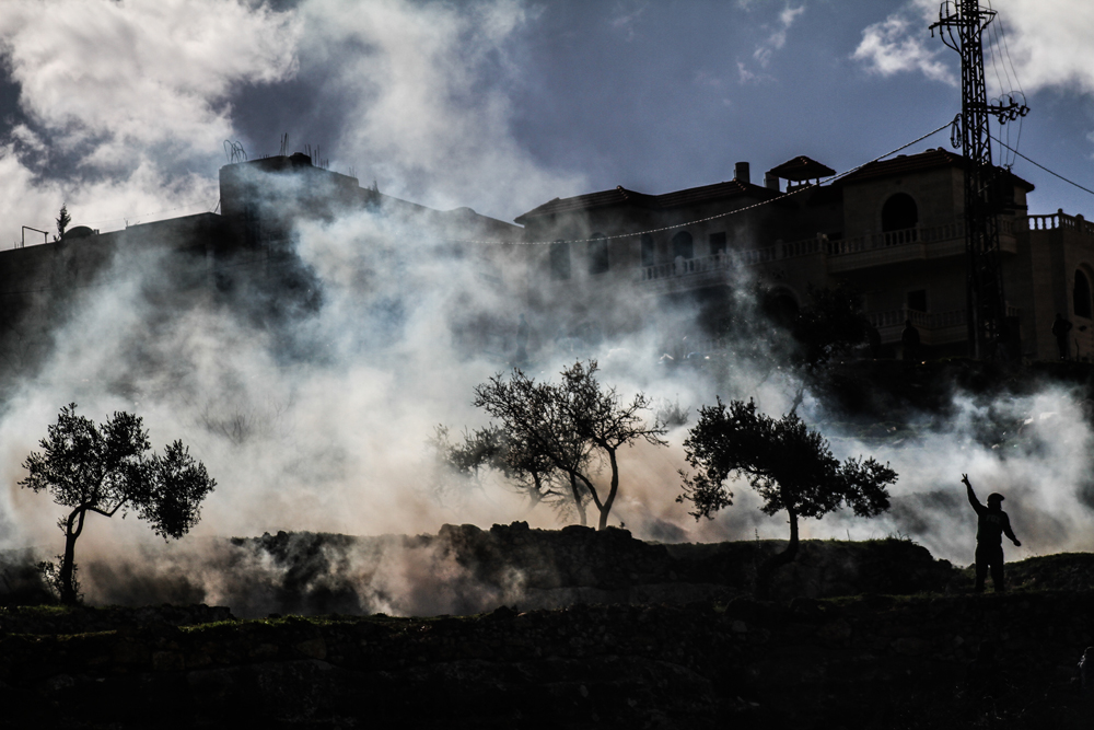 by palestinian photographer ahmad mesleh